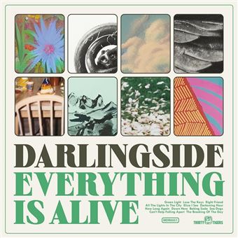 Everything Is Alive - CD