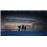 Life Is Strange 2 PC_6
