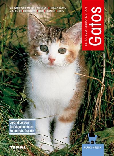 Gatos -  Varios Autores (Autor)