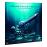 Pack Alien Ed Limitada Vinilo - DVD_0