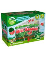 Invernadero de Frutas: Minisandías