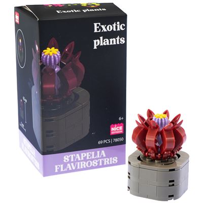 Mattoncini exotic plants stapela flavirostris