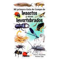 Mi primera guía de campo de: Insectos y otros invertebrados