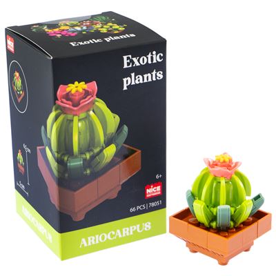 Mattoncini exotic plants ariocarpus