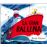 La Gran Ballena