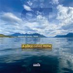 A Place Called Home - Vinilo