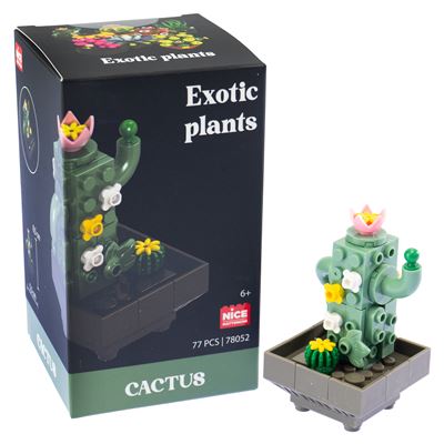 Mattoncini exotic plants cactus