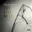 Forgiveness - Vinilo