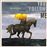 You Follow Me - Vinilo Amarillo