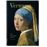 Vermeer-the complete works 40th ann
