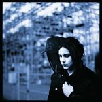 Blunderbuss