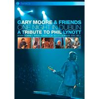One Night in Dublin - DVD