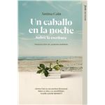 Un Caballo En La Noche