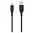 Cable USB-C - USB-A T'nB XtremWork 3 m
