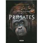 Primates. Tan cerca de lo humano