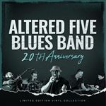 20th Anniversary - Vinilo