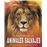 El Gran Libro De Los Animales Salvajes