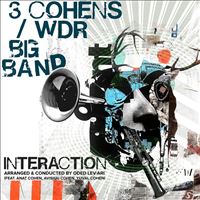 Interaction And The Wdr Bog Band