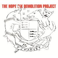 The hope six demolition project