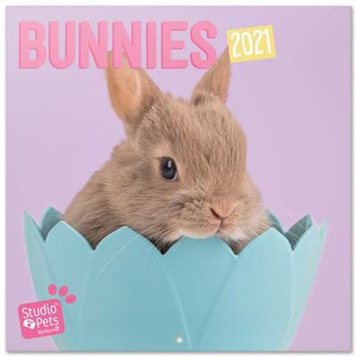 Erik Calendario De pared 2021 studio pets bunny 30x30 cm 30