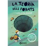 La teoria dels forats