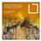 String Sextets - CD