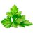 Cápsulas de cilantro Emsa Clic & Grow