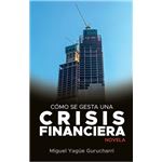 Como Se Gesta Una Crisis Financiera