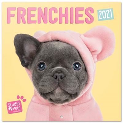 Erik Calendario De pared 2021 studio pets french bulldog 30x30 cm 30