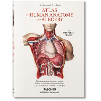 Bourgery-atlas of human anatomy and
