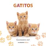 Libros Cupula Calendario Gatitos 2027