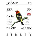 ¿Cómo es ser un ave? De volar a anidar, de comer a cantar...