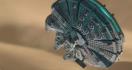 LEGO Star Wars: New Deluxe Edition Xbox One_11