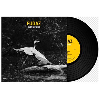 Lp-fugaz