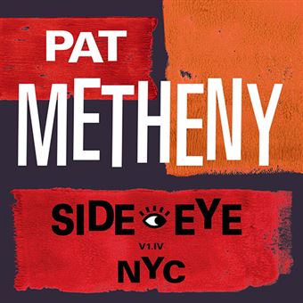 Pat Metheny - 1