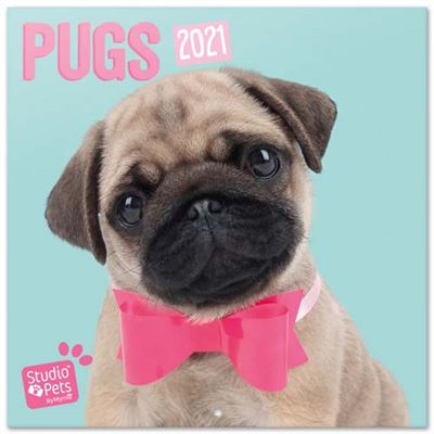 Erik Calendario De pared 2021 studio pets pugs 30x30 cm 30