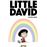 Little David
