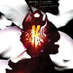 Cellophane Memories - Vinilo Transparente
