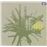 Good Morning Susie Soho - Vinilo amarillo