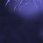 Nocturnal Journey - Vinilo