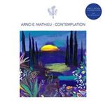 Contemplation - 2 Vinilos