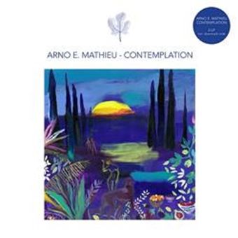 Contemplation - 2 Vinilos