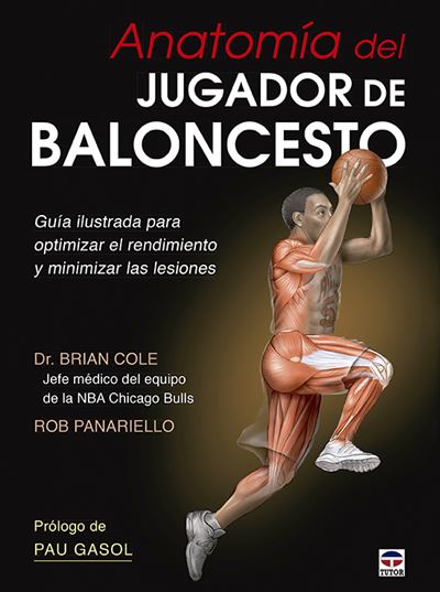 Tutor Anatomía Del Jugador De Baloncesto