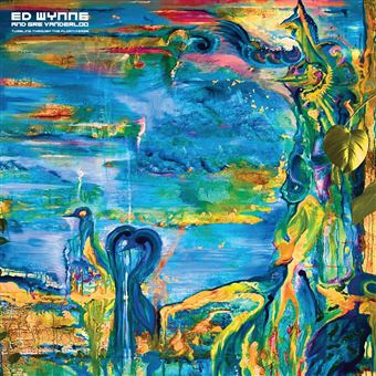 Ed Wynne (Ozric Tentacles) - 1