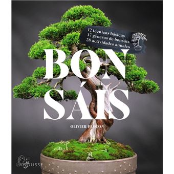 Bonsáis