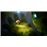 Angelo en el bosque misterioso - DVD