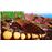 All Star Fruit Racing Nintendo Switch_1