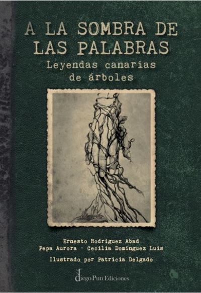 Diego Pun A La Sombra De Las Palabras