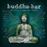 Buddha Bar (By Dole & Kom and Ravin Limited) - 2 Vinilos