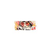 Funda de gafas + paño Naranjalidad